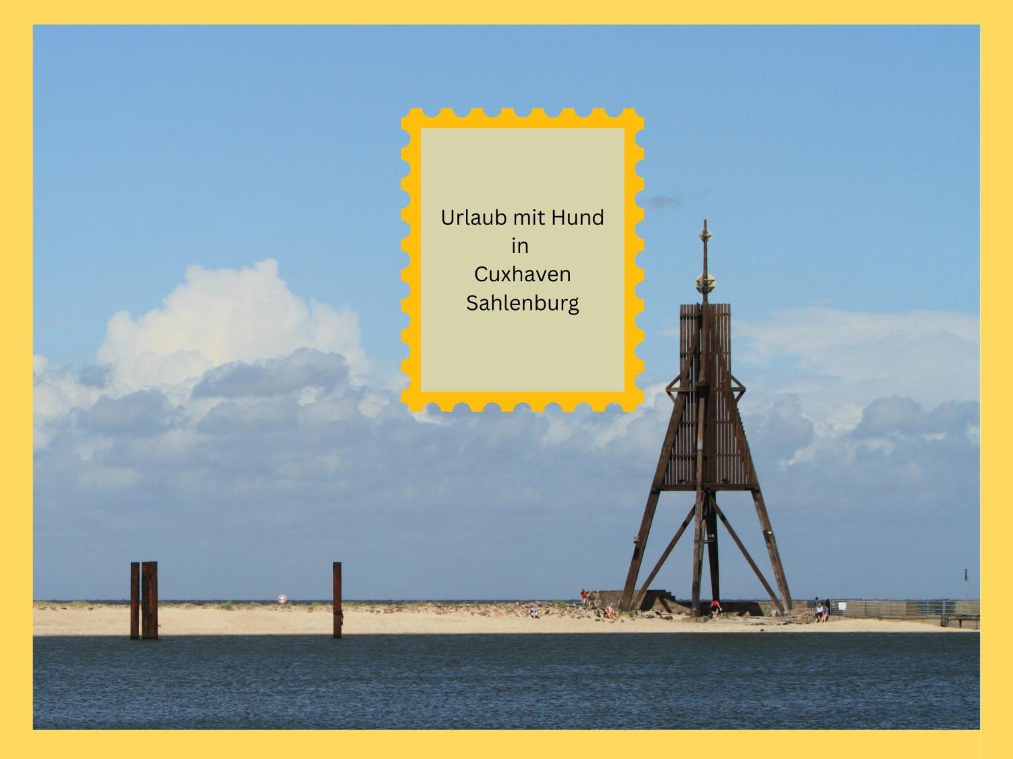 Strandloft Cuxhaven Im Haus Frauenpreiss Sahlenburg - Strandnah - 2 Hunde Willkommen -Schwimmbad - Sauna - Direkt Am Wald - Dachterrasse Mit Blick Nach Neuwerk Екстер'єр фото