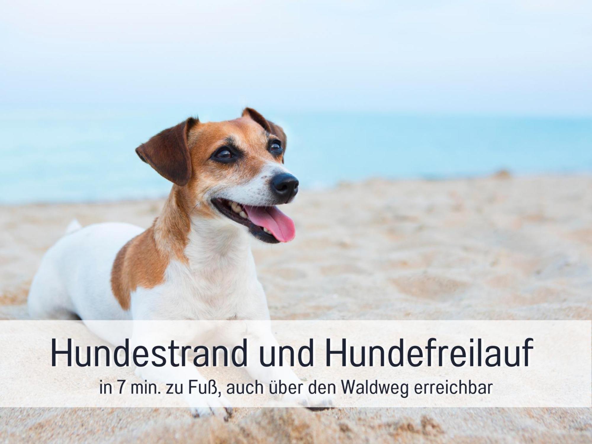 Strandloft Cuxhaven Im Haus Frauenpreiss Sahlenburg - Strandnah - 2 Hunde Willkommen -Schwimmbad - Sauna - Direkt Am Wald - Dachterrasse Mit Blick Nach Neuwerk Екстер'єр фото